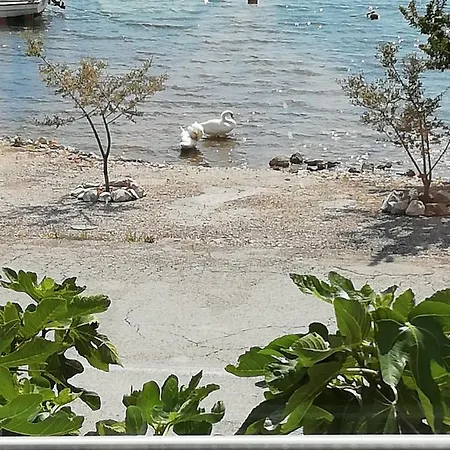 Διαμέρισμα Zvonimir Pirovac