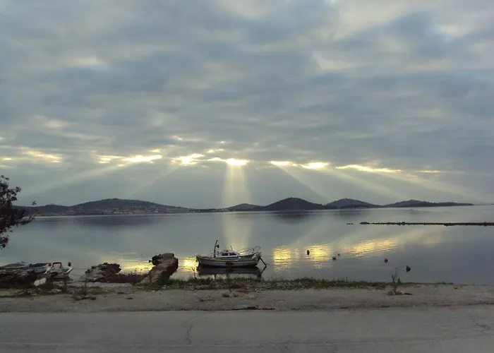 Daire Zvonimir Pirovac