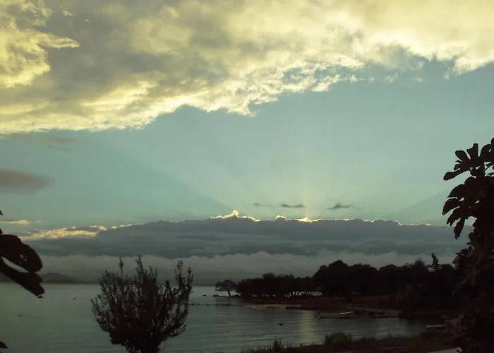 Daire Zvonimir Pirovac